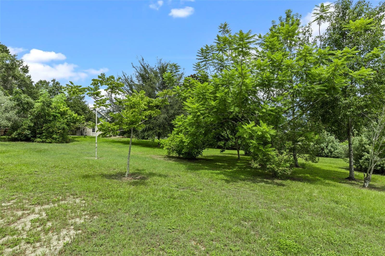 Image 46 of 60 For 27006 Indian Ridge Drive