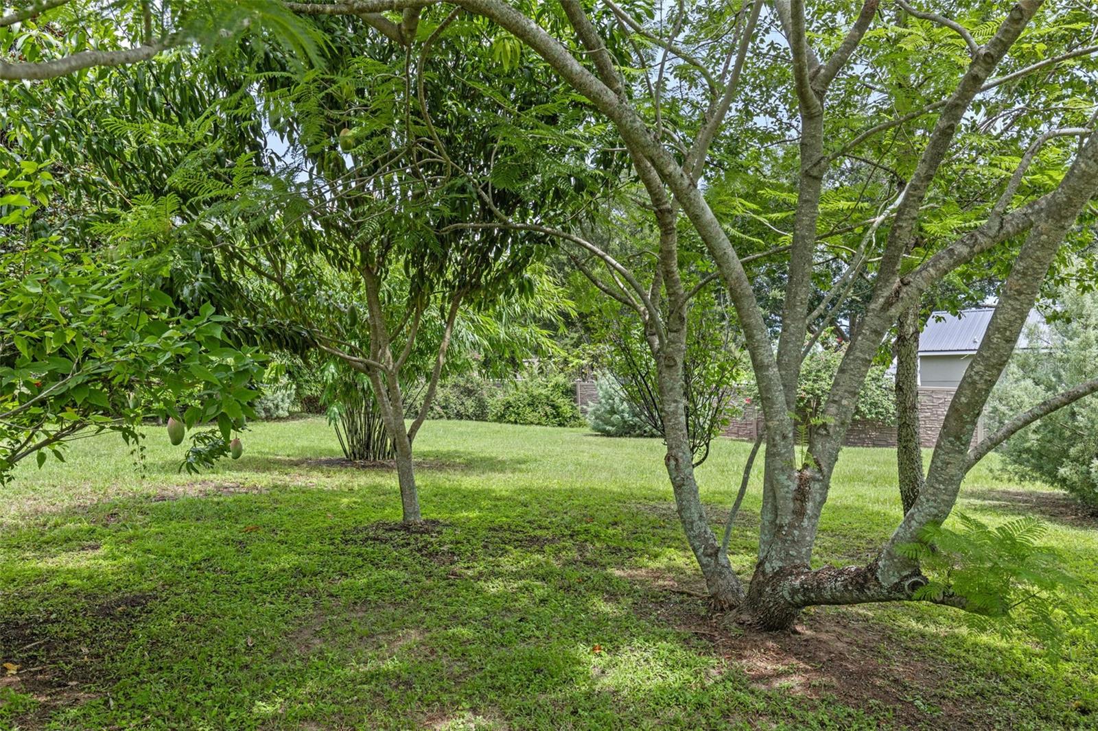 Image 47 of 60 For 27006 Indian Ridge Drive