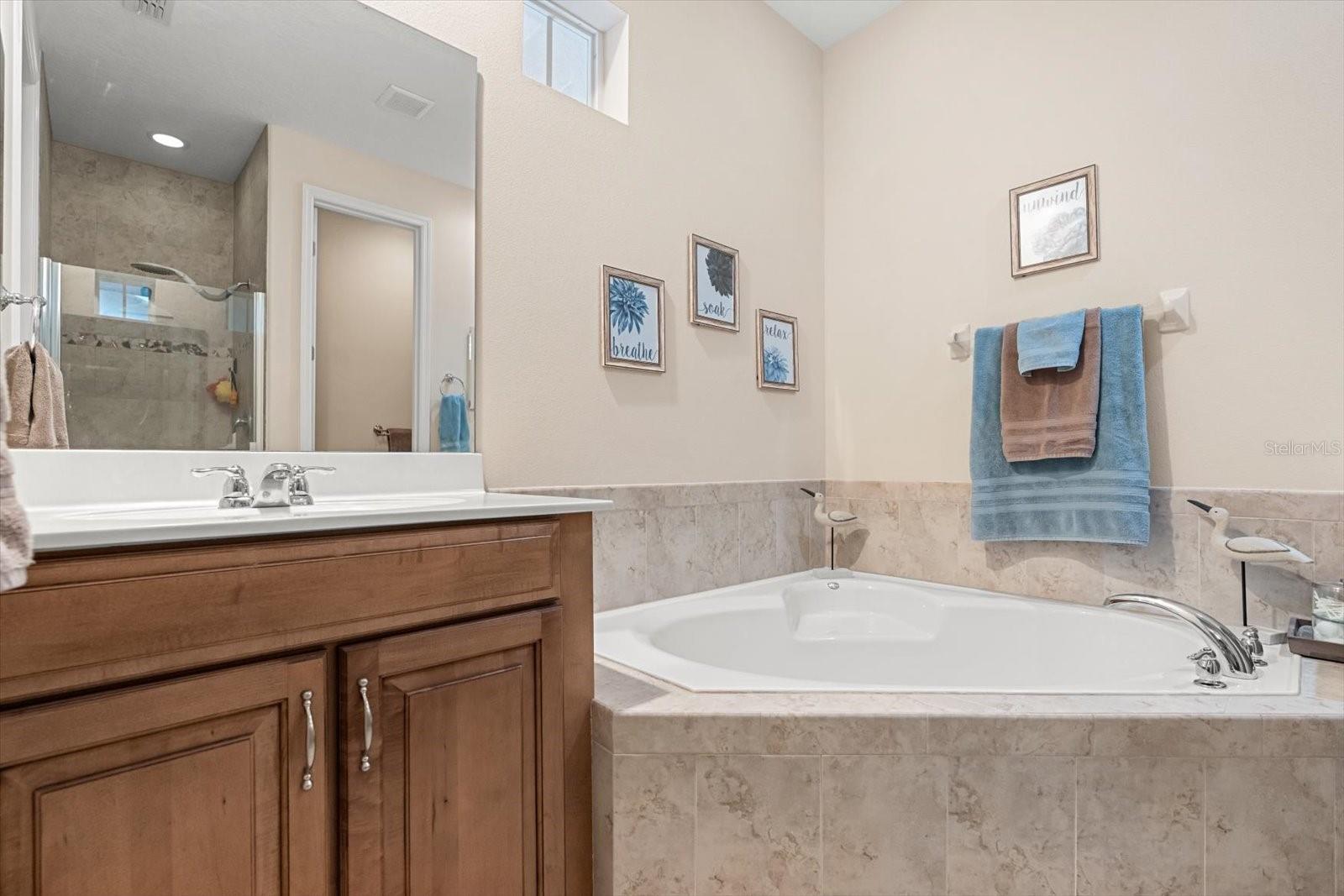 Image 9 of 20 For 12224 Triton Lane