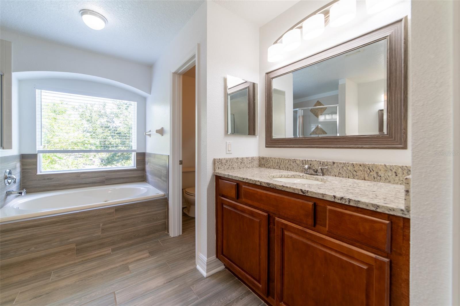 Image 11 of 44 For 13321 Moss Park Ridge Drive