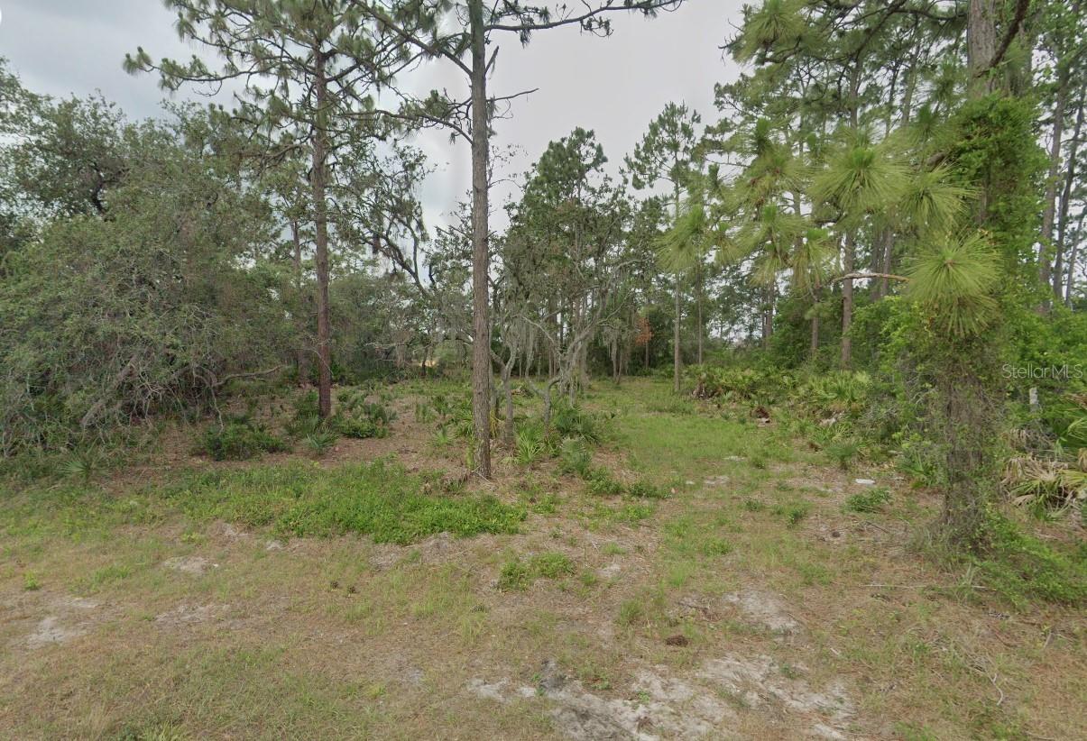 Image 3 of 4 For 4541 San Lorenzo Drive