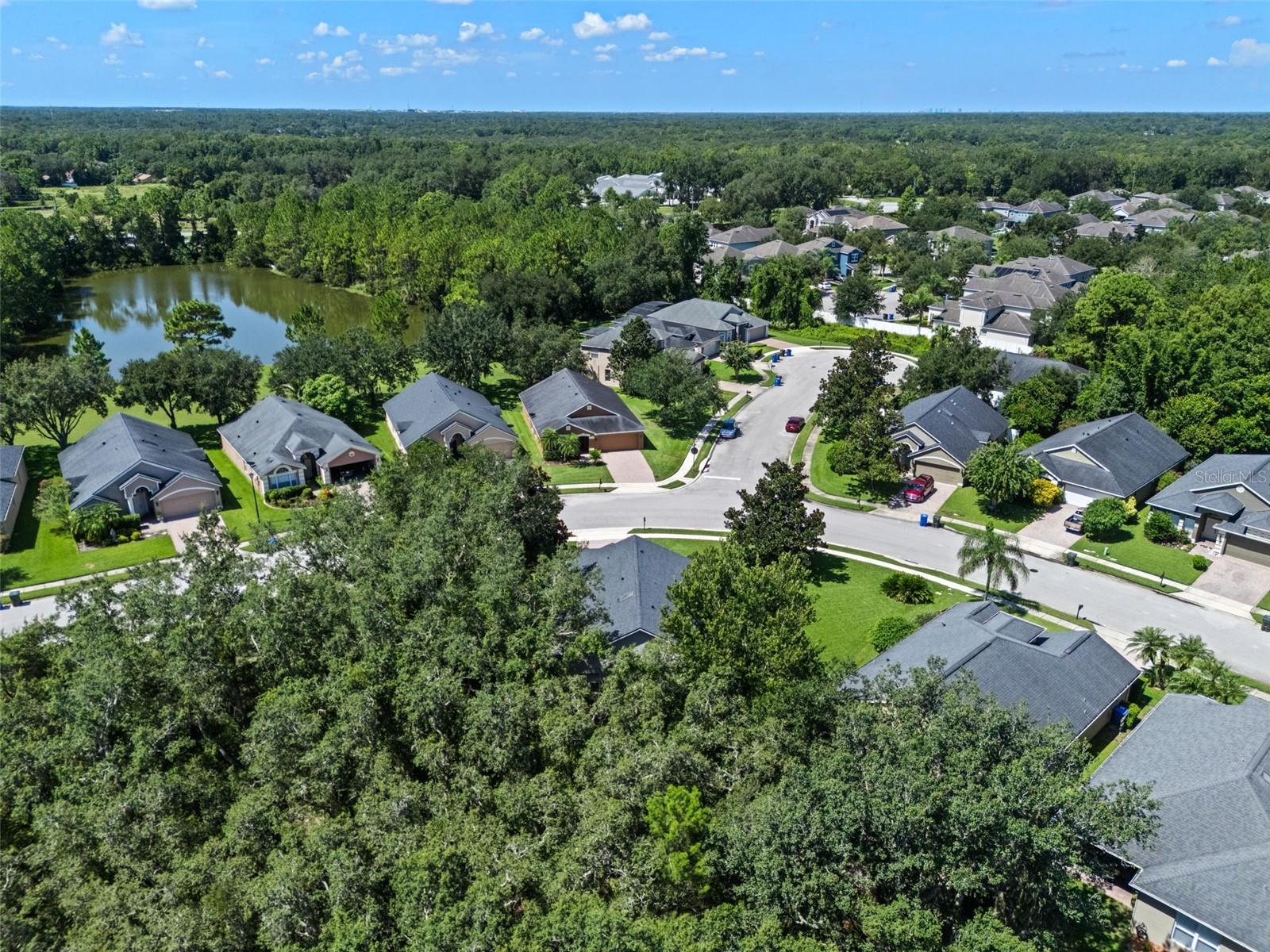 Image 42 of 47 For 2890 Spring Heather Place