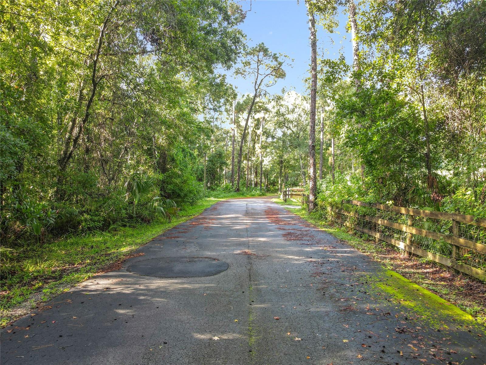Image 15 of 24 For Panther Road