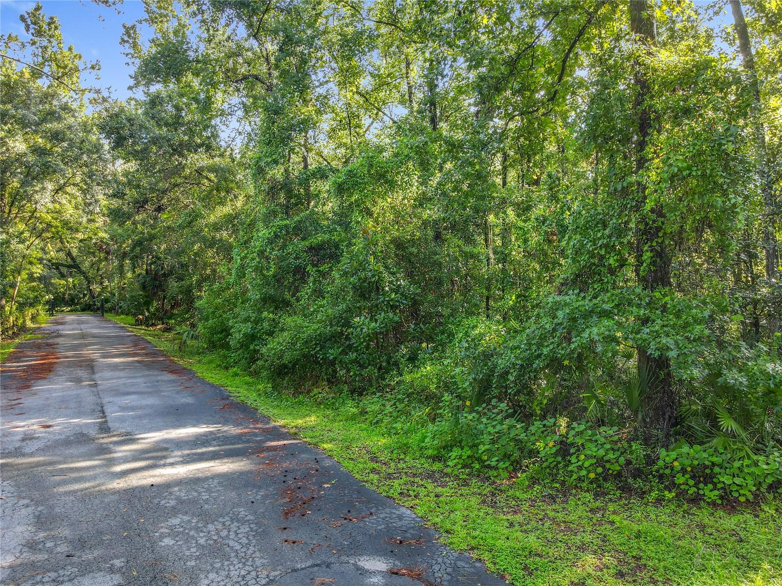 Image 16 of 24 For Panther Road
