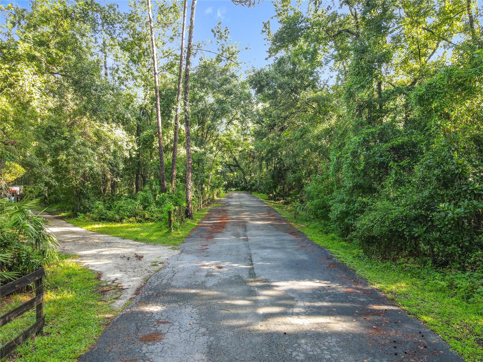 Image 17 of 24 For Panther Road
