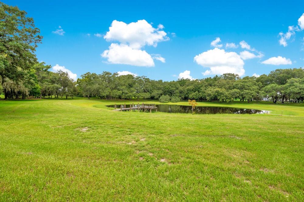 Image 35 of 62 For 12151 Walker Pond Rd