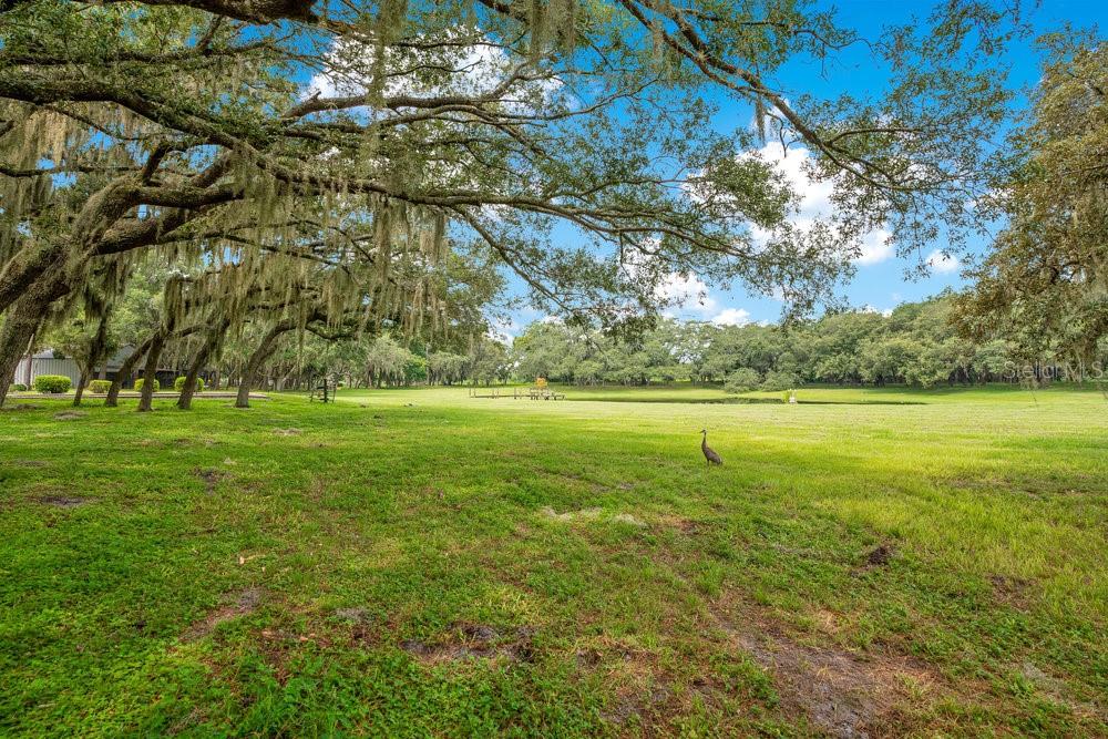Image 40 of 62 For 12151 Walker Pond Rd