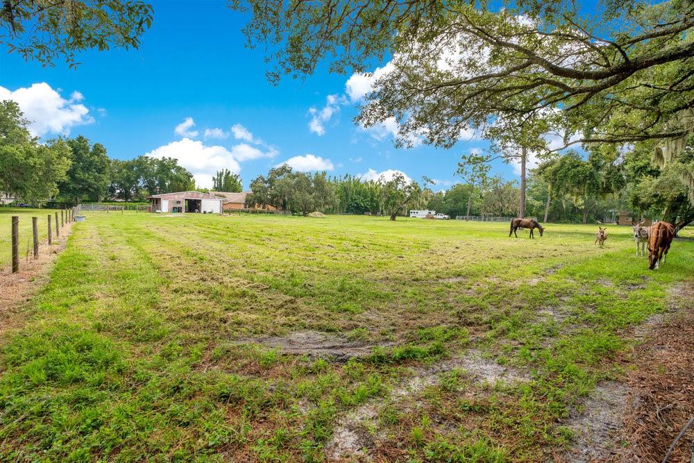 Image 42 of 62 For 12151 Walker Pond Rd