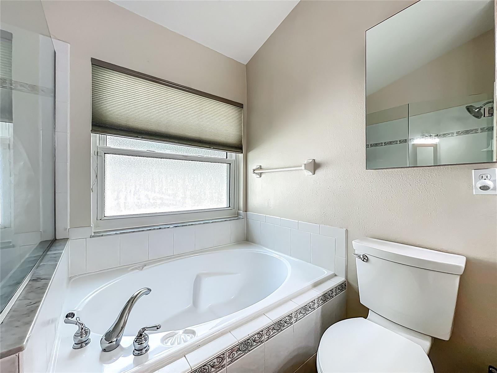 Image 31 of 48 For 13539 Emeraldview Drive