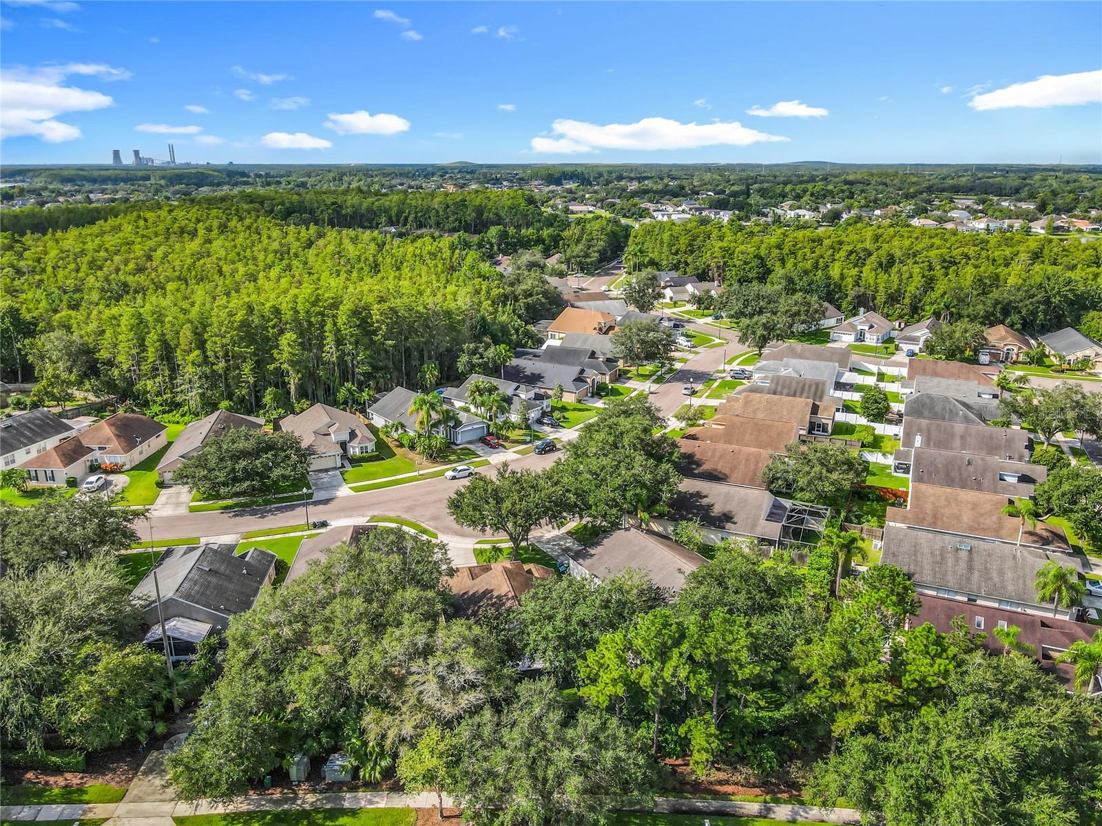 Image 47 of 48 For 13539 Emeraldview Drive
