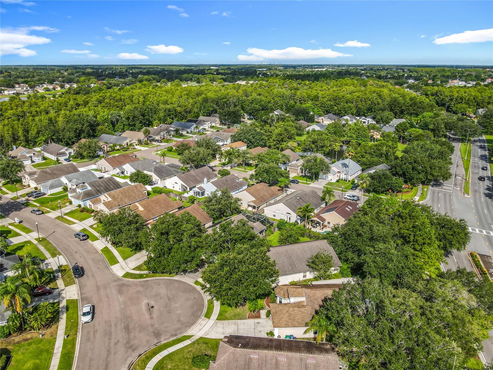 Image 48 of 48 For 13539 Emeraldview Drive
