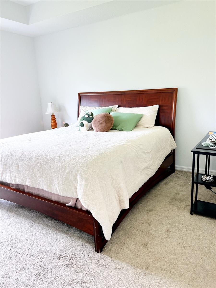 Image 10 of 16 For 5216 Senza Trail