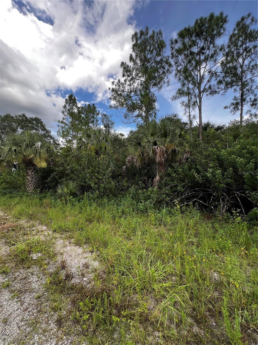 Image 4 of 4 For 1954 Messmer Avenue