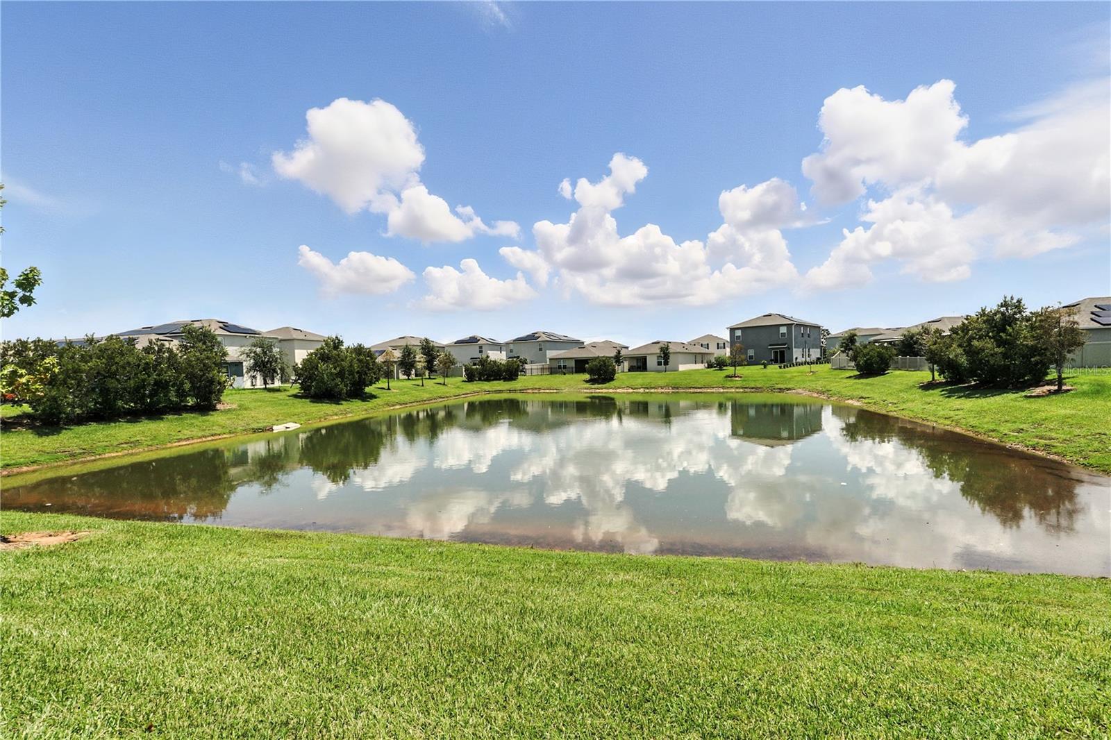 Image 42 of 47 For 117 Eagleview Loop