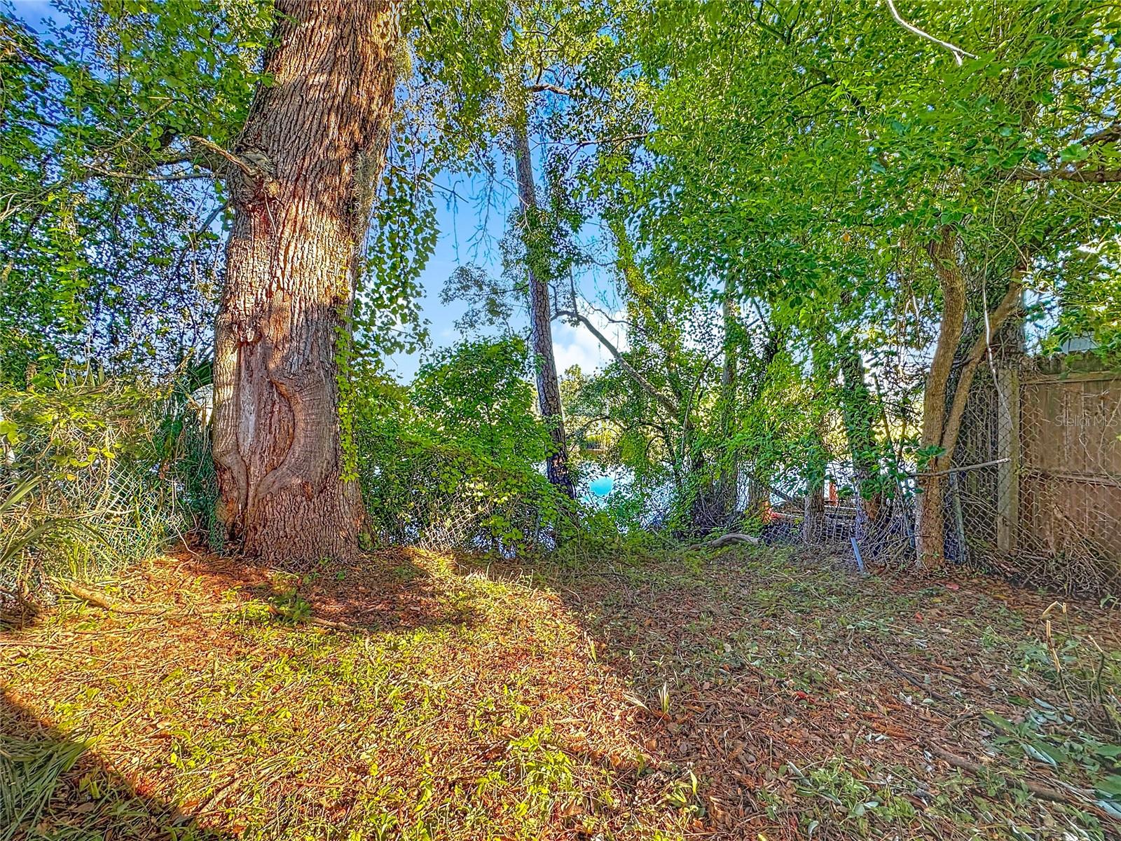 Image 18 of 22 For 4509 Ken Knight Drive N