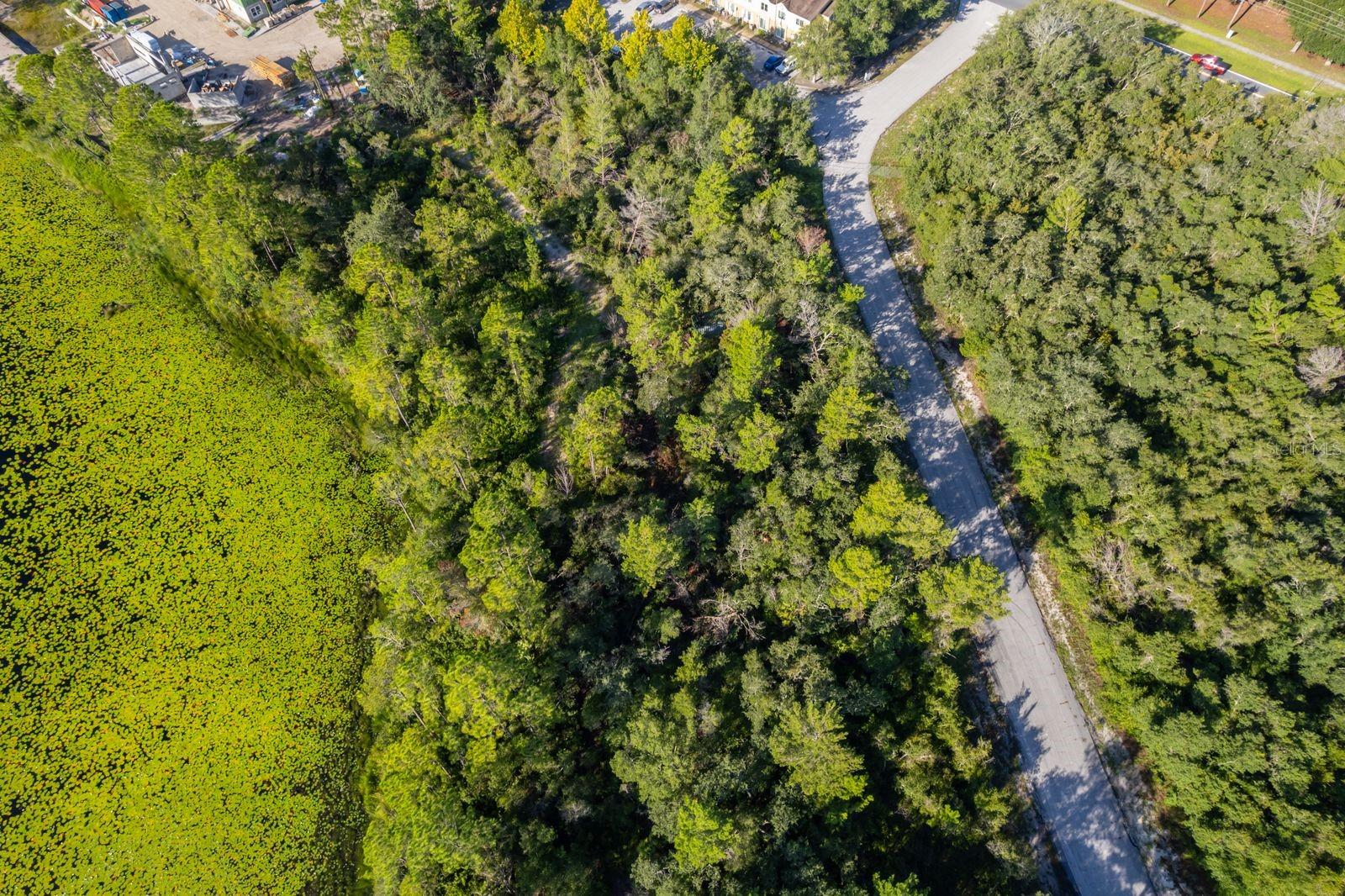 Image 9 of 13 For 2121 Capri Circle