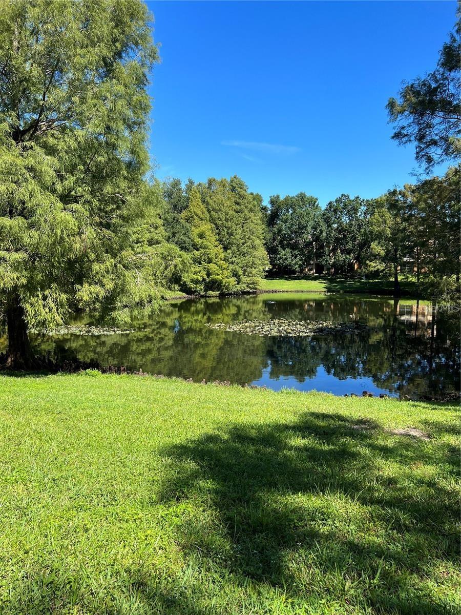 Image 29 of 36 For 7524 Seurat Street 12205