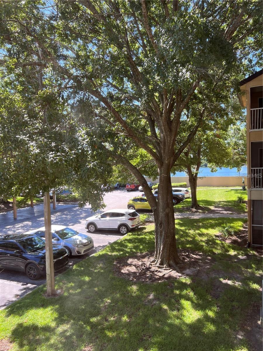 Image 31 of 36 For 7524 Seurat Street 12205