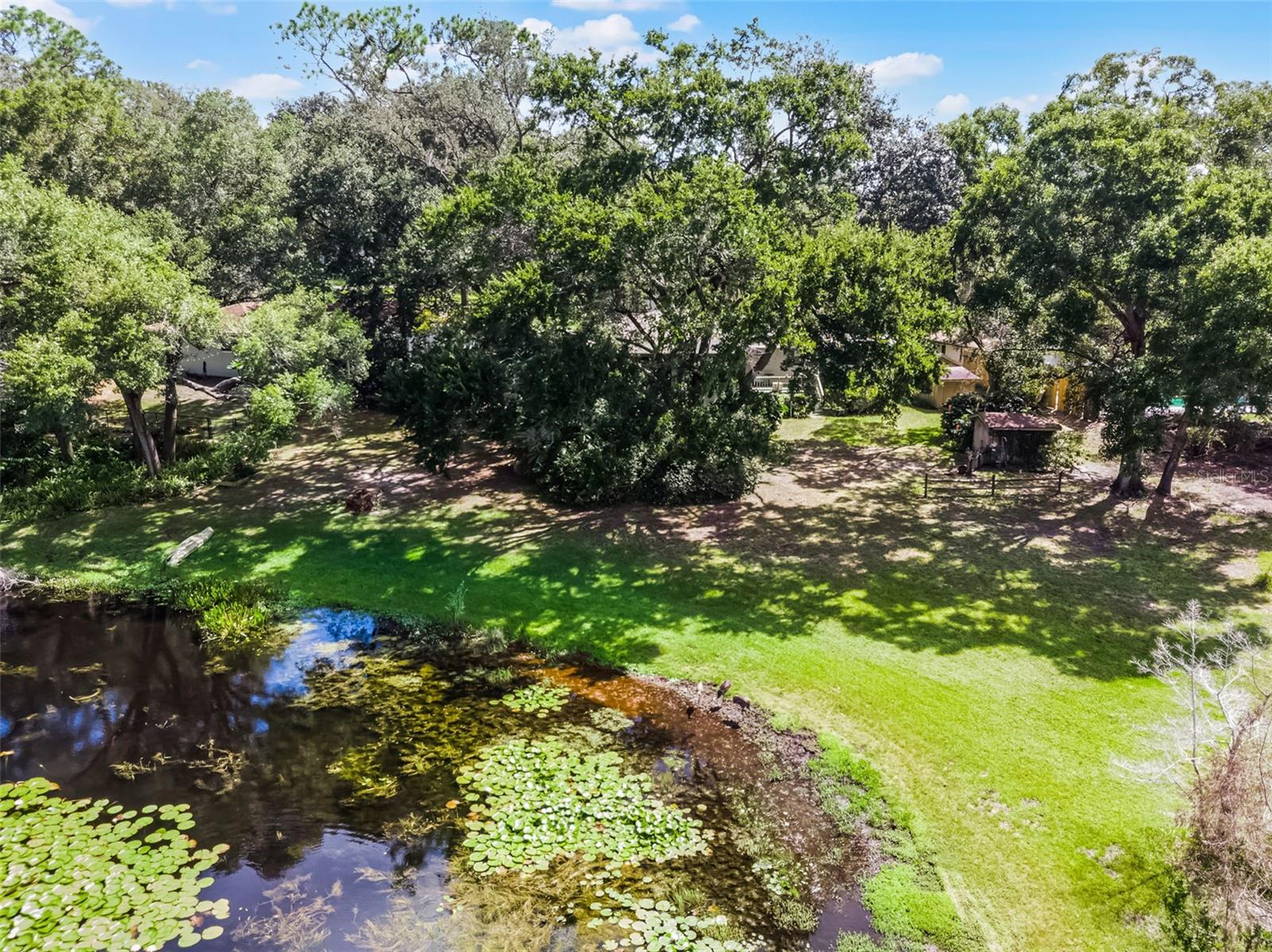 Image 42 of 45 For 36338 Spring Lake Boulevard
