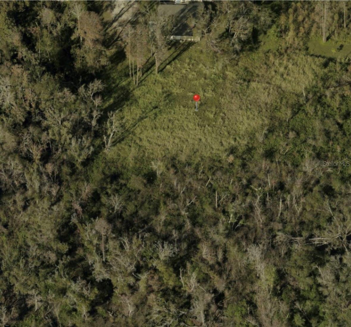 Image 2 of 4 For Blossom Avenue