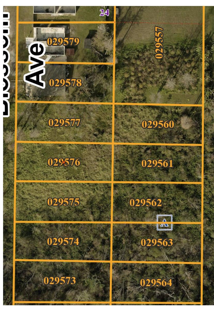 Image 3 of 4 For Blossom Avenue