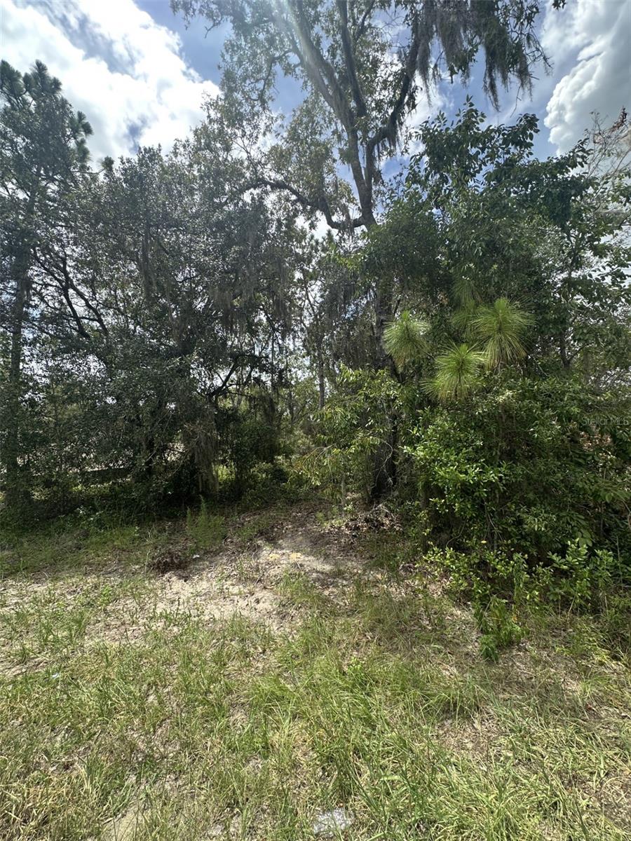 Listing Details for 9700 Cortlandt Drive, CITRUS SPRINGS, FL 34434