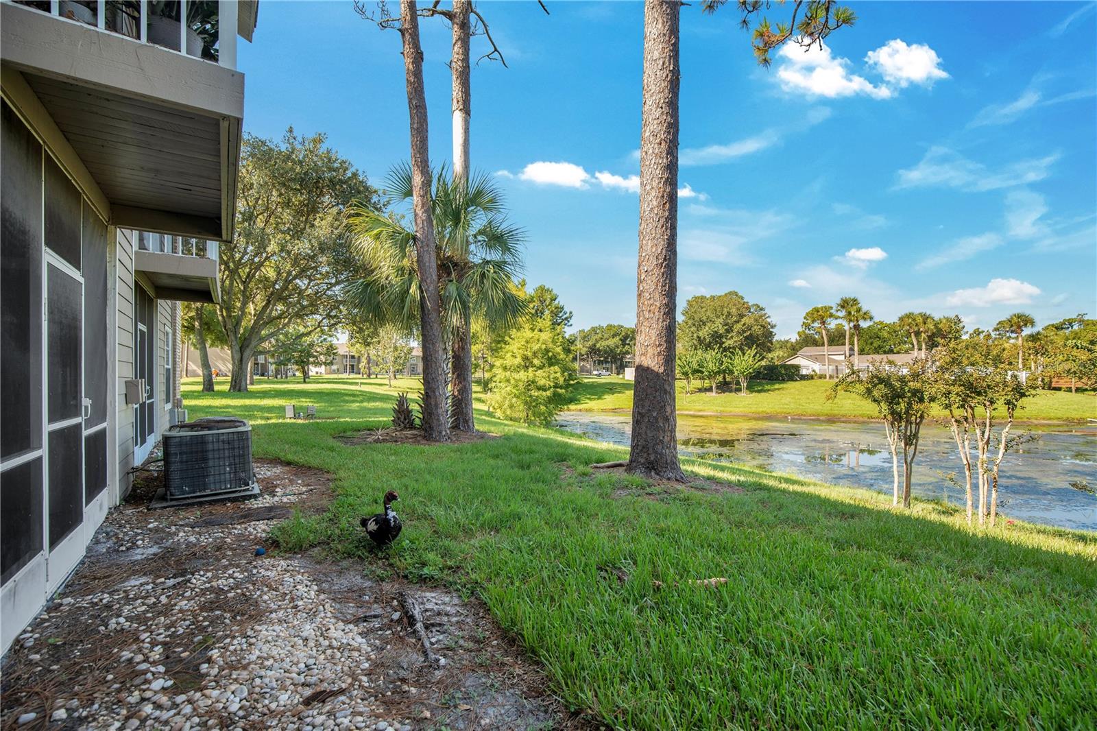 Image 18 of 28 For 100 Reserve Circle 104
