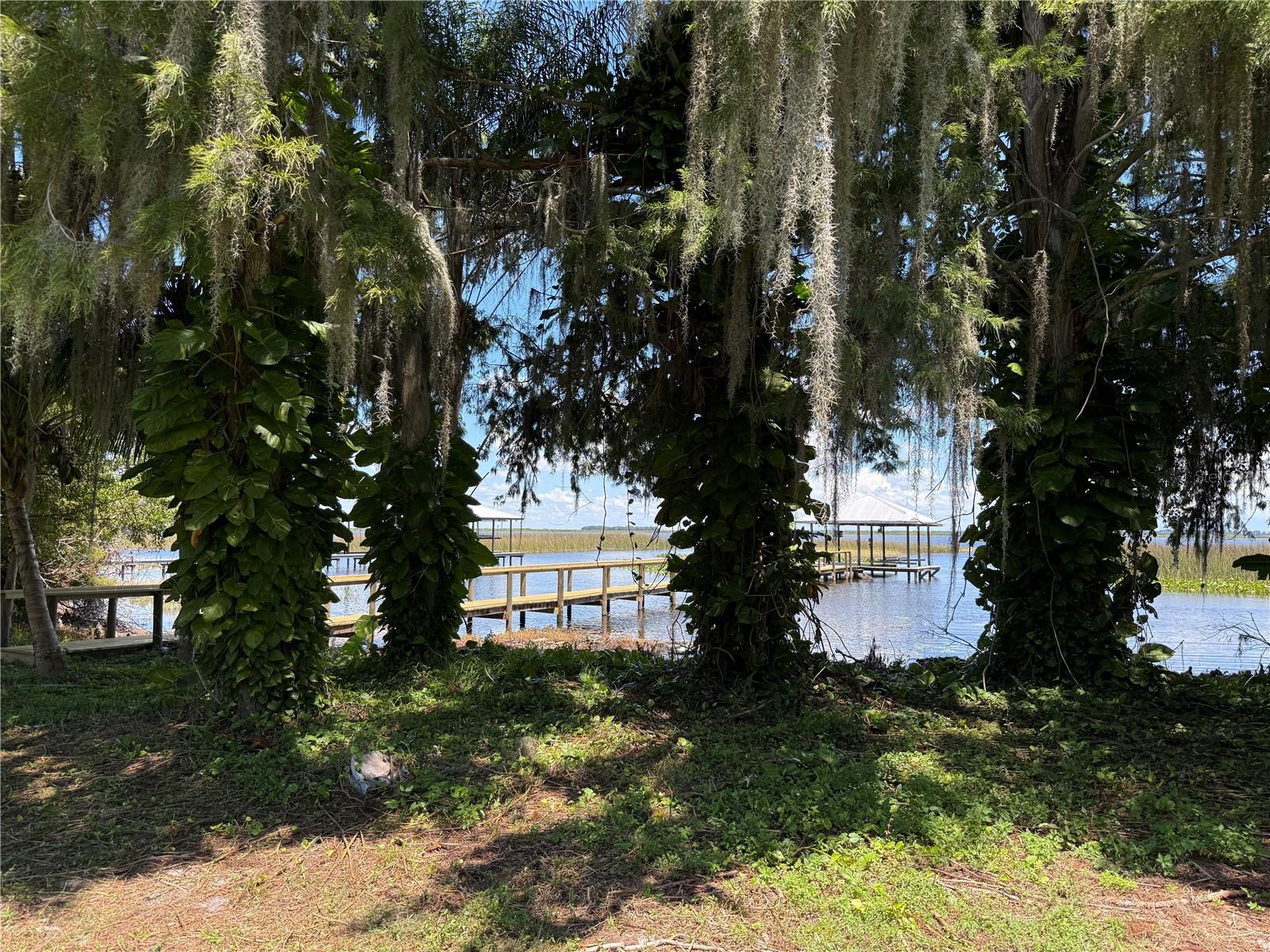 Image 15 of 25 For 1617 Birch Street