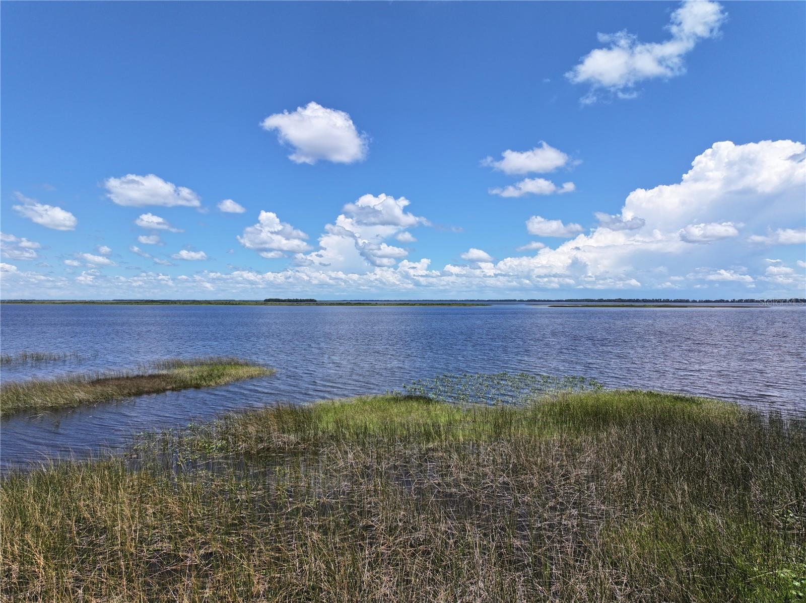 Image 22 of 25 For 1617 Birch Street