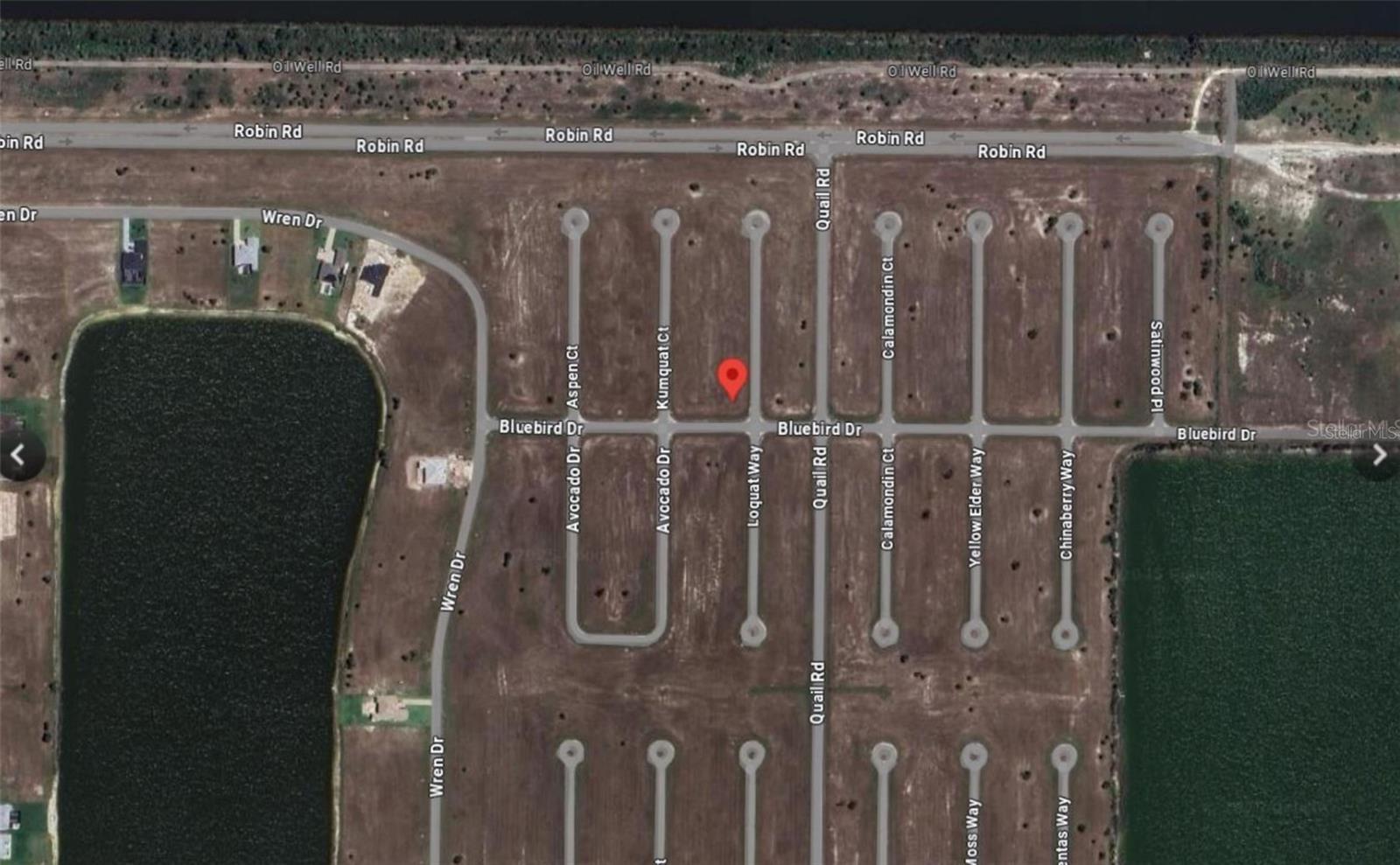 Listing Details for 19 Loquat Way, PLACIDA, FL 33946