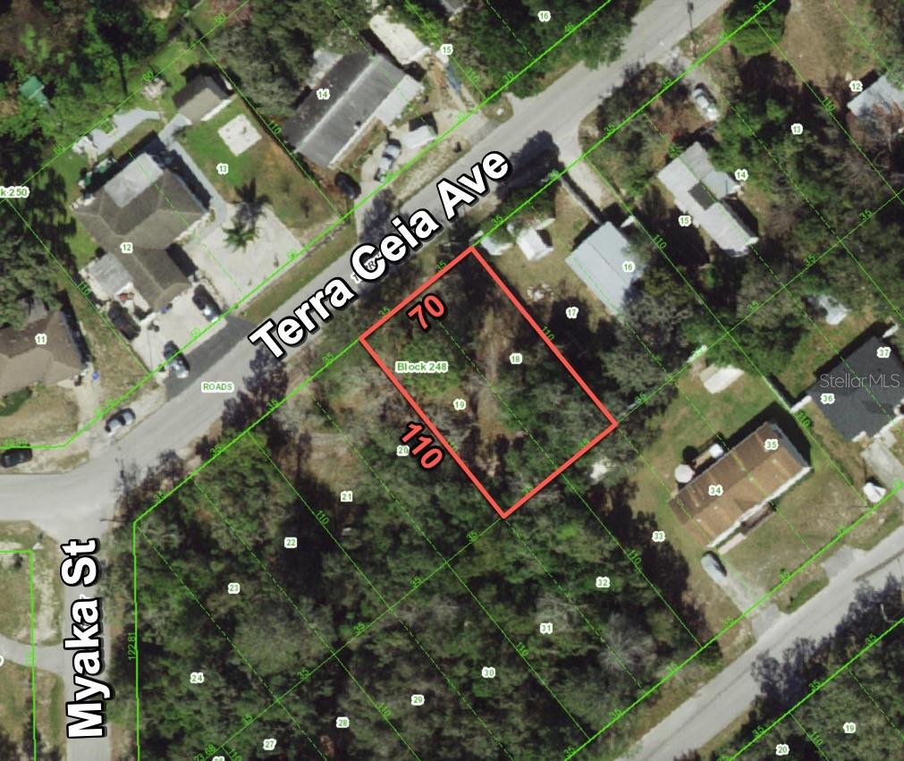 Details for 12338 Terra Ceia Avenue, NEW PORT RICHEY, FL 34654