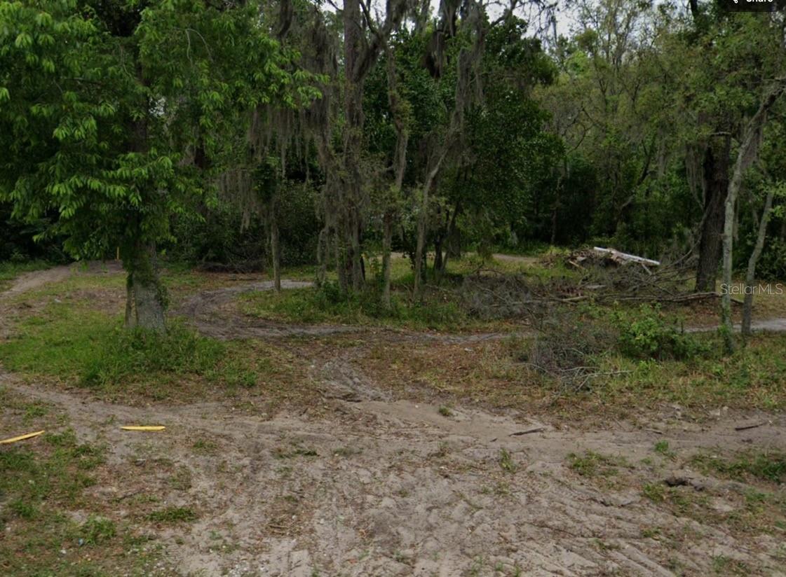Image 5 of 9 For 12338 Terra Ceia Avenue