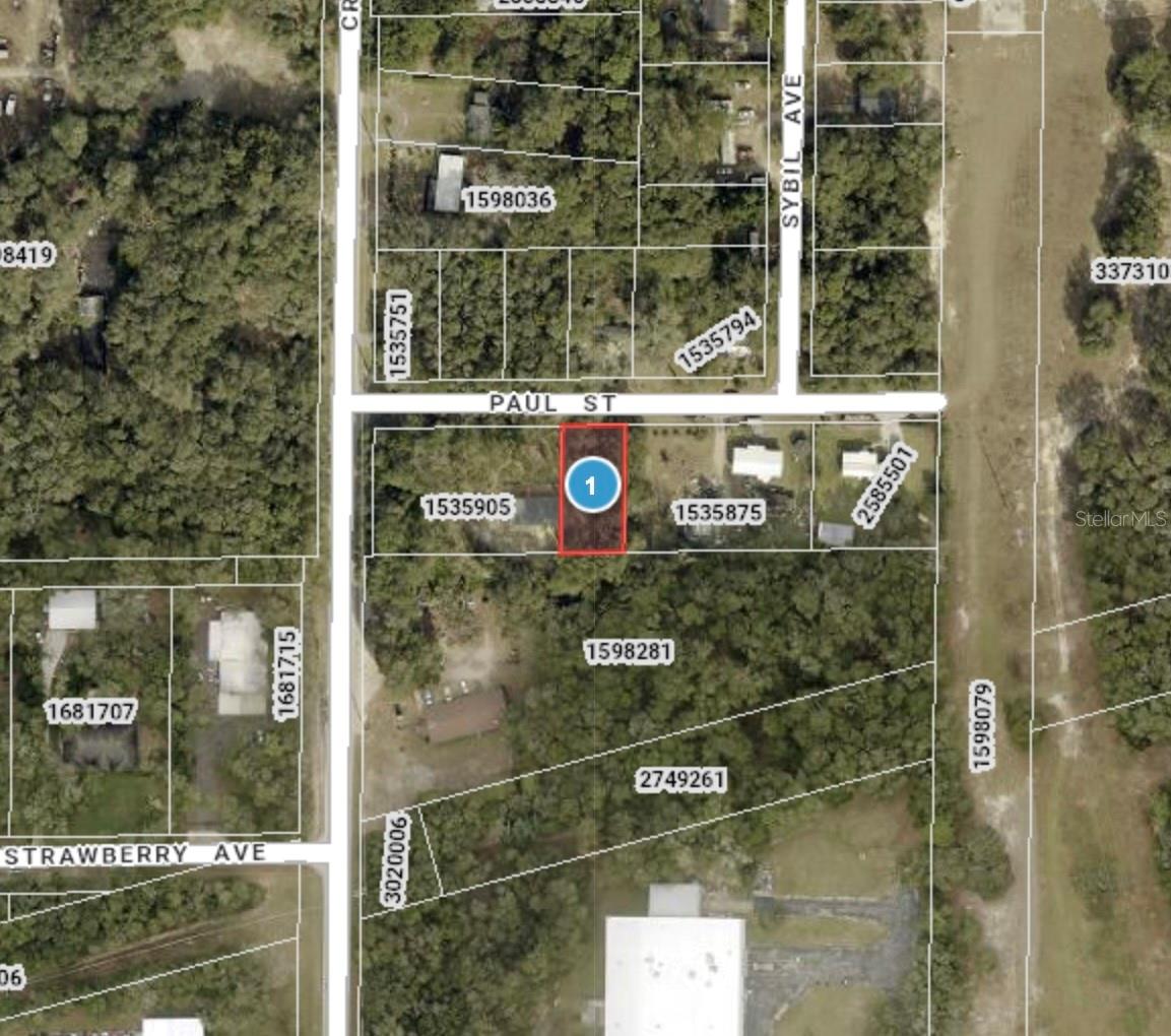Listing Details for 24530 Paul Street, MOUNT PLYMOUTH, FL 32776
