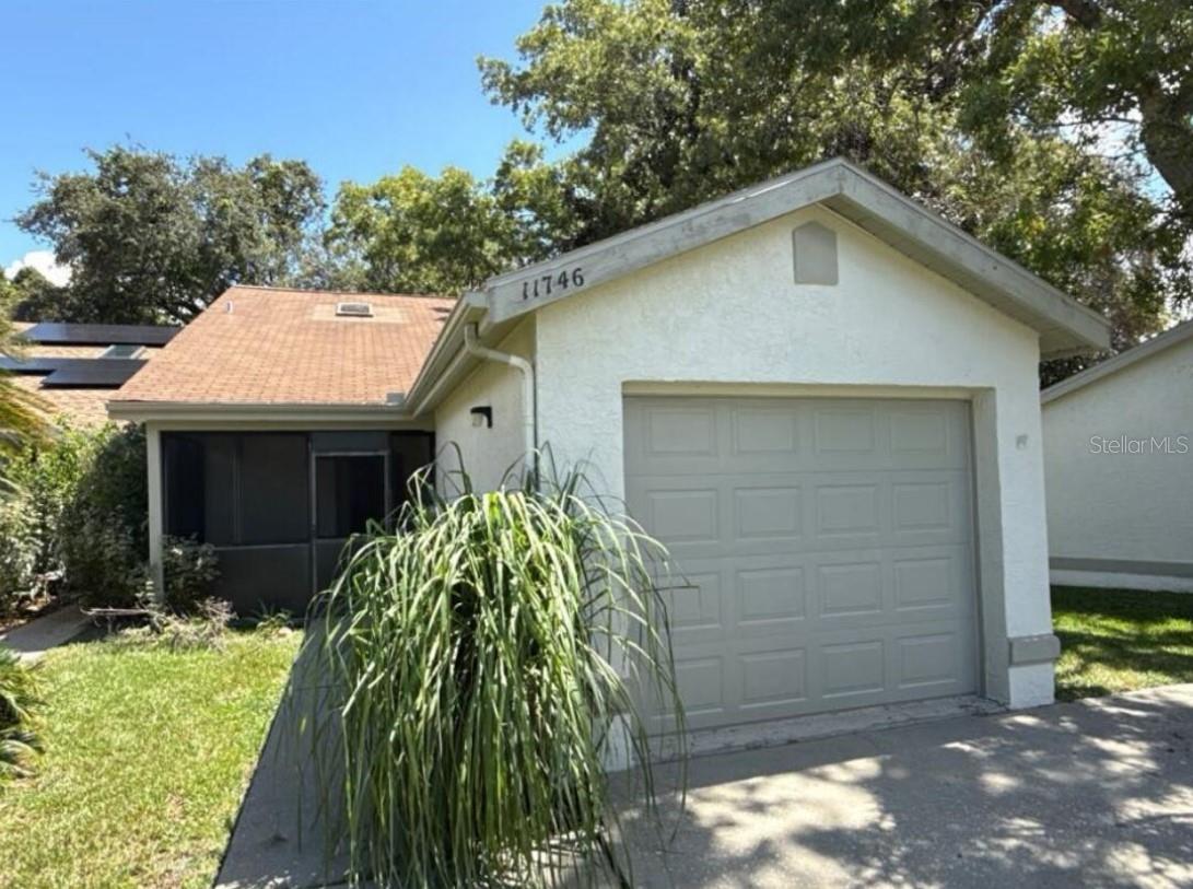 11746 Spring Tree Lane