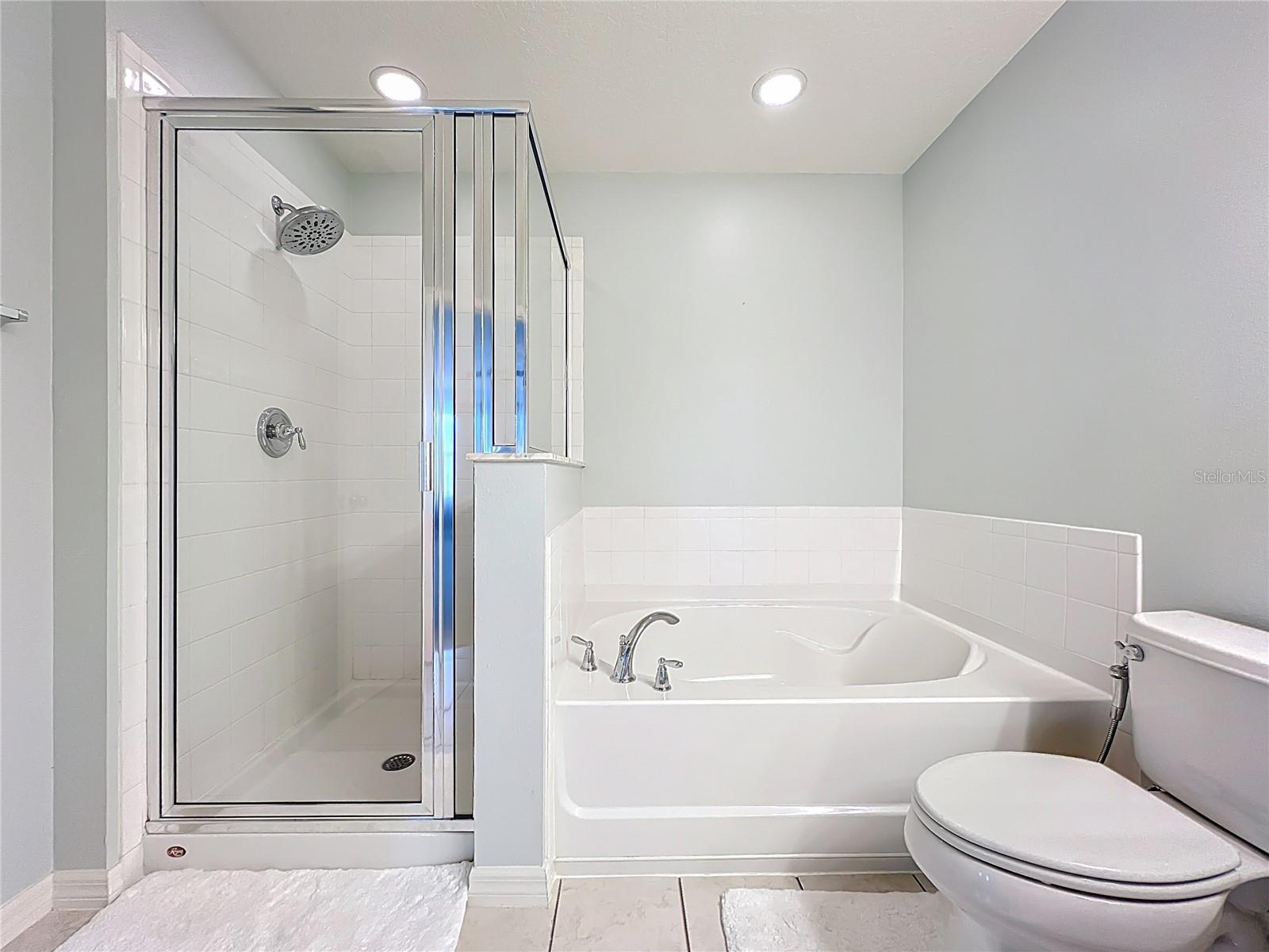 Image 45 of 71 For 2463 Lacerta Drive