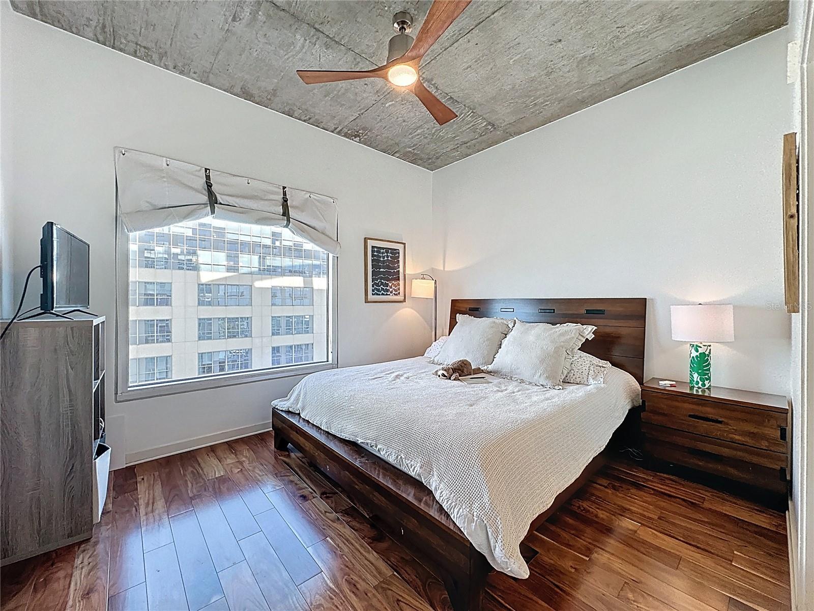 Image 15 of 30 For 155 Court Avenue 1902