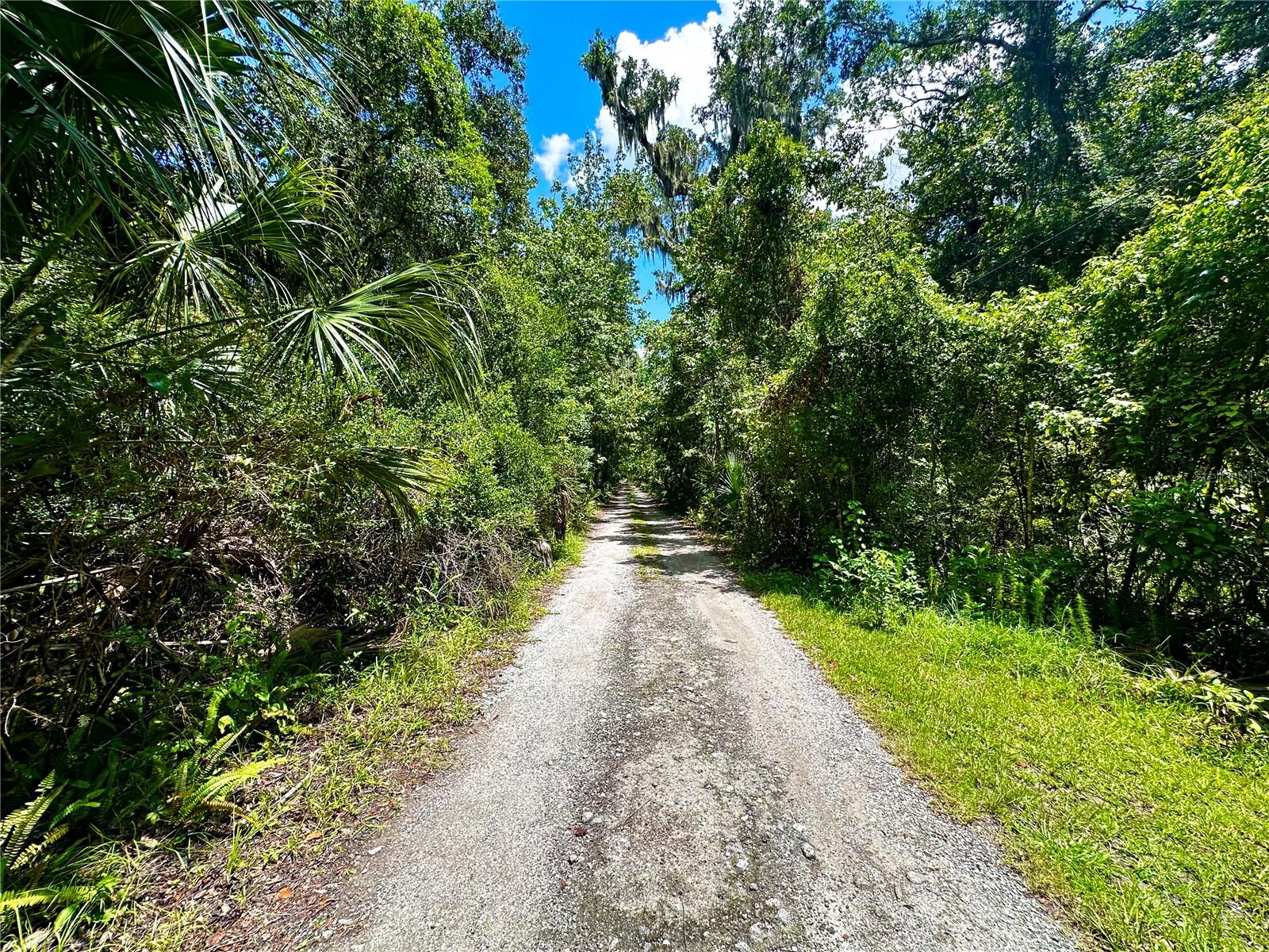 Image 3 of 43 For 2325 Salt Creek Trail