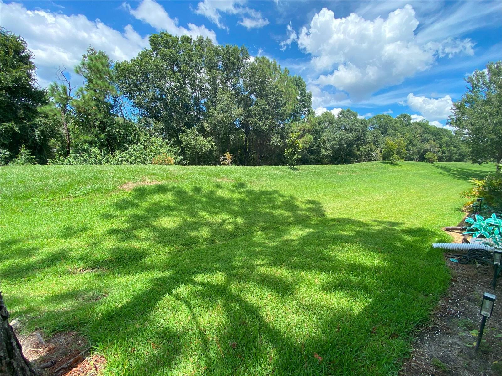 Image 22 of 25 For 1880 Garden Sage Drive