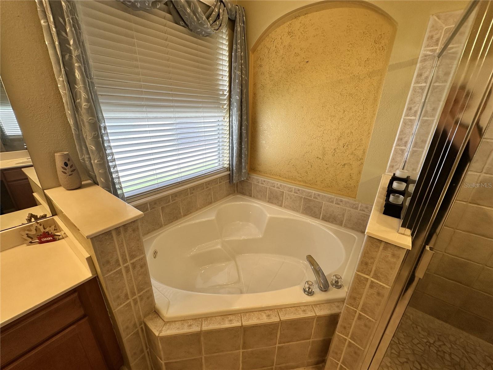 Image 22 of 31 For 11316 Rapallo Lane