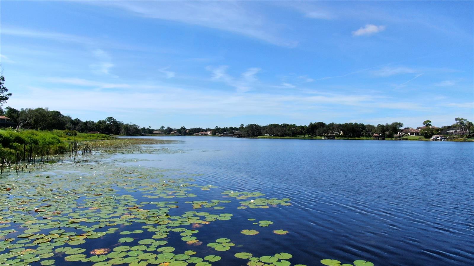 Image 6 of 9 For Lake Markham Road