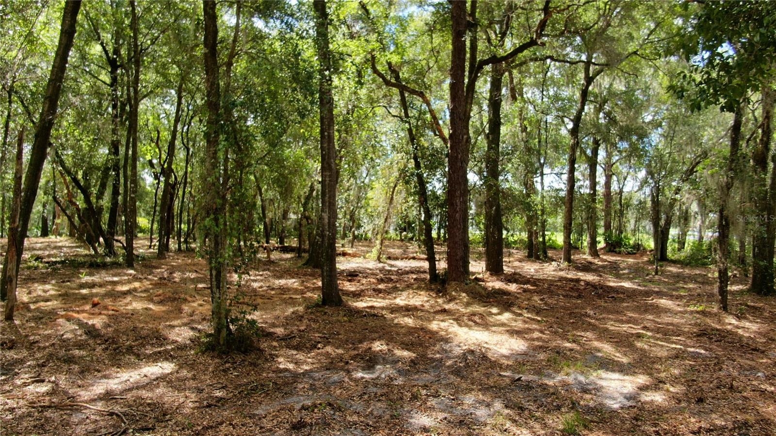 Image 7 of 9 For Lake Markham Road