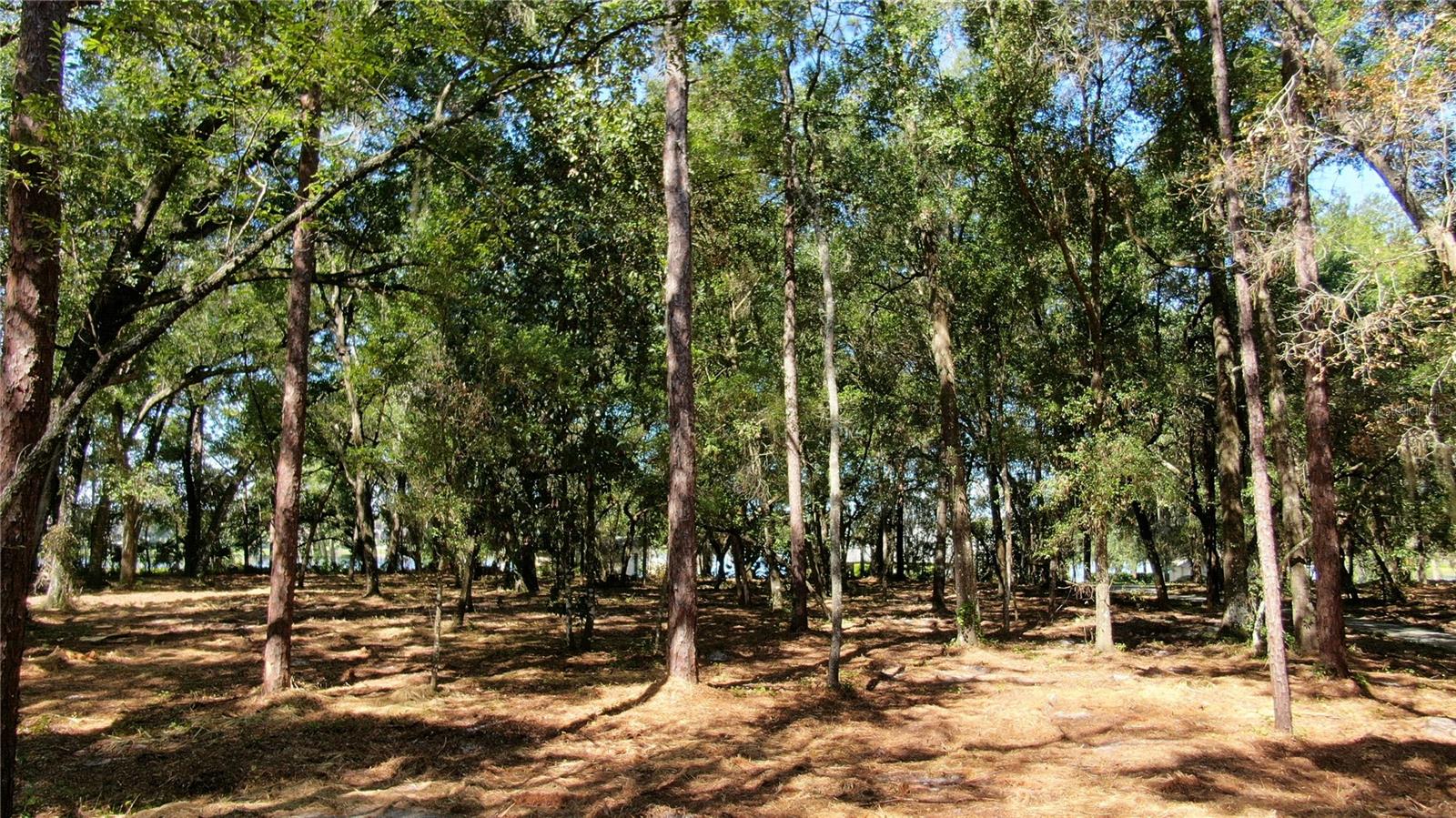 Image 8 of 9 For Lake Markham Road