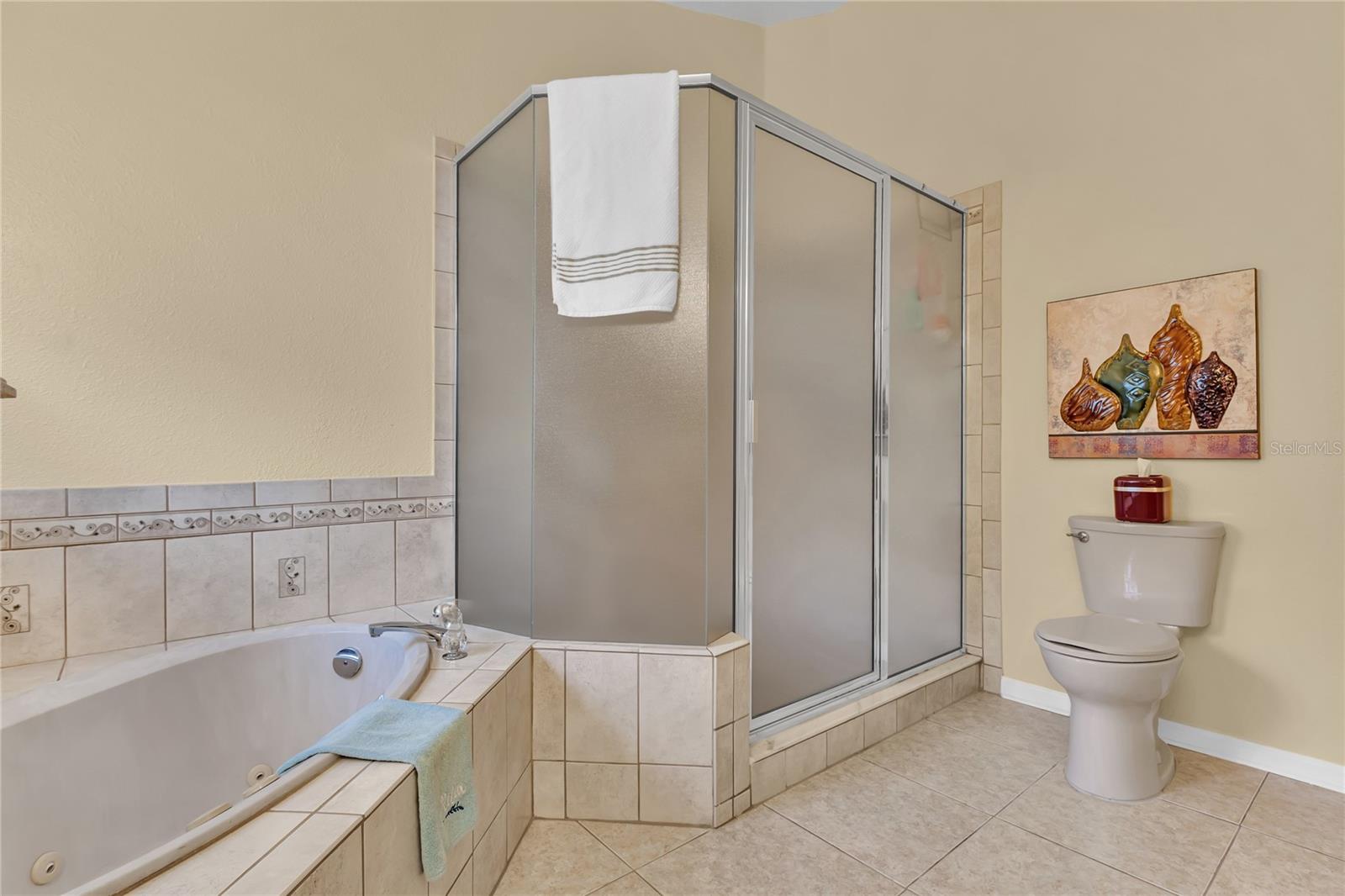 Image 15 of 25 For 13022 Falcon Ridge Drive
