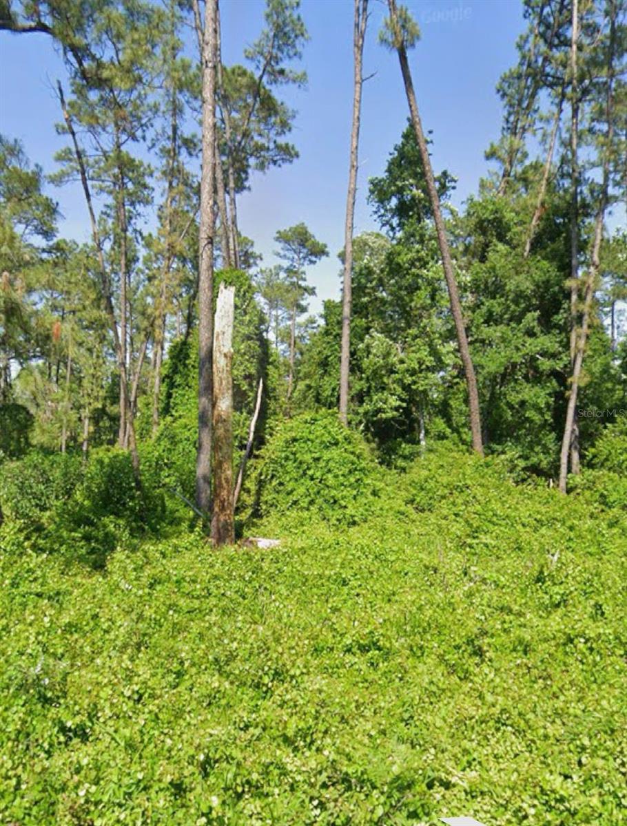 Details for 23 Malauka Pass, OCKLAWAHA, FL 32179