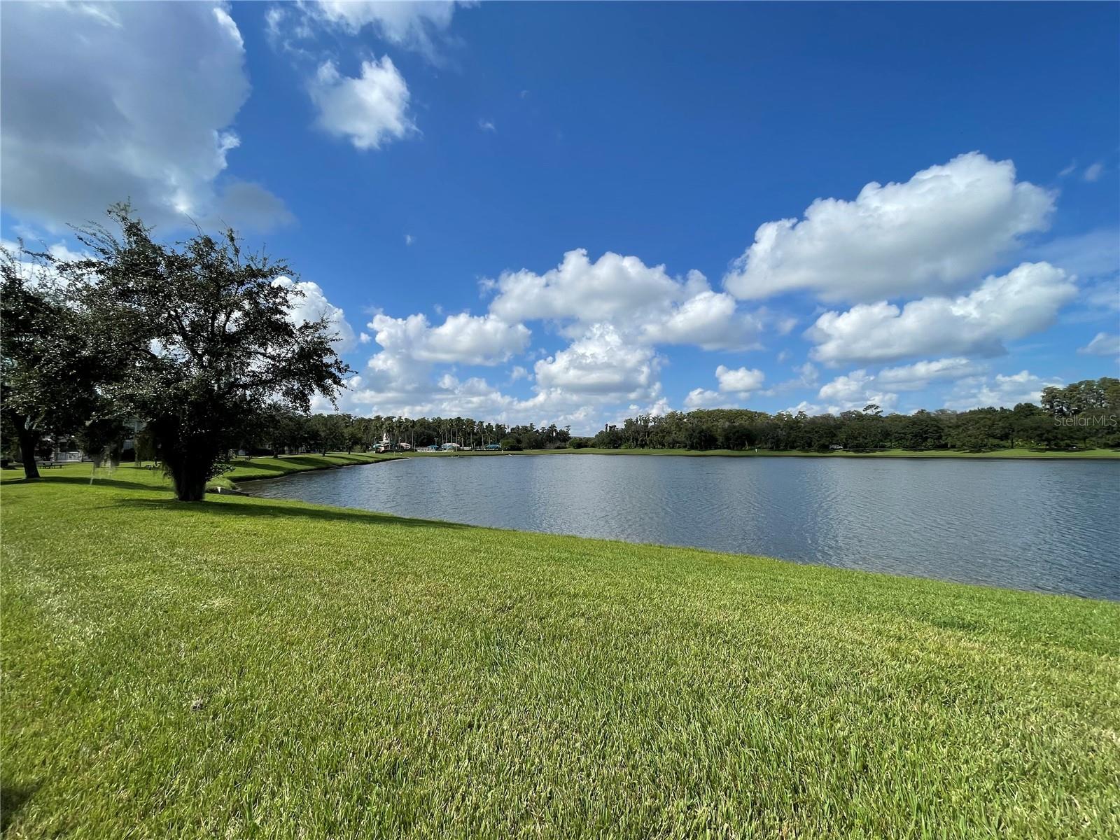 Image 18 of 21 For 9093 Lee Vista Boulevard 901