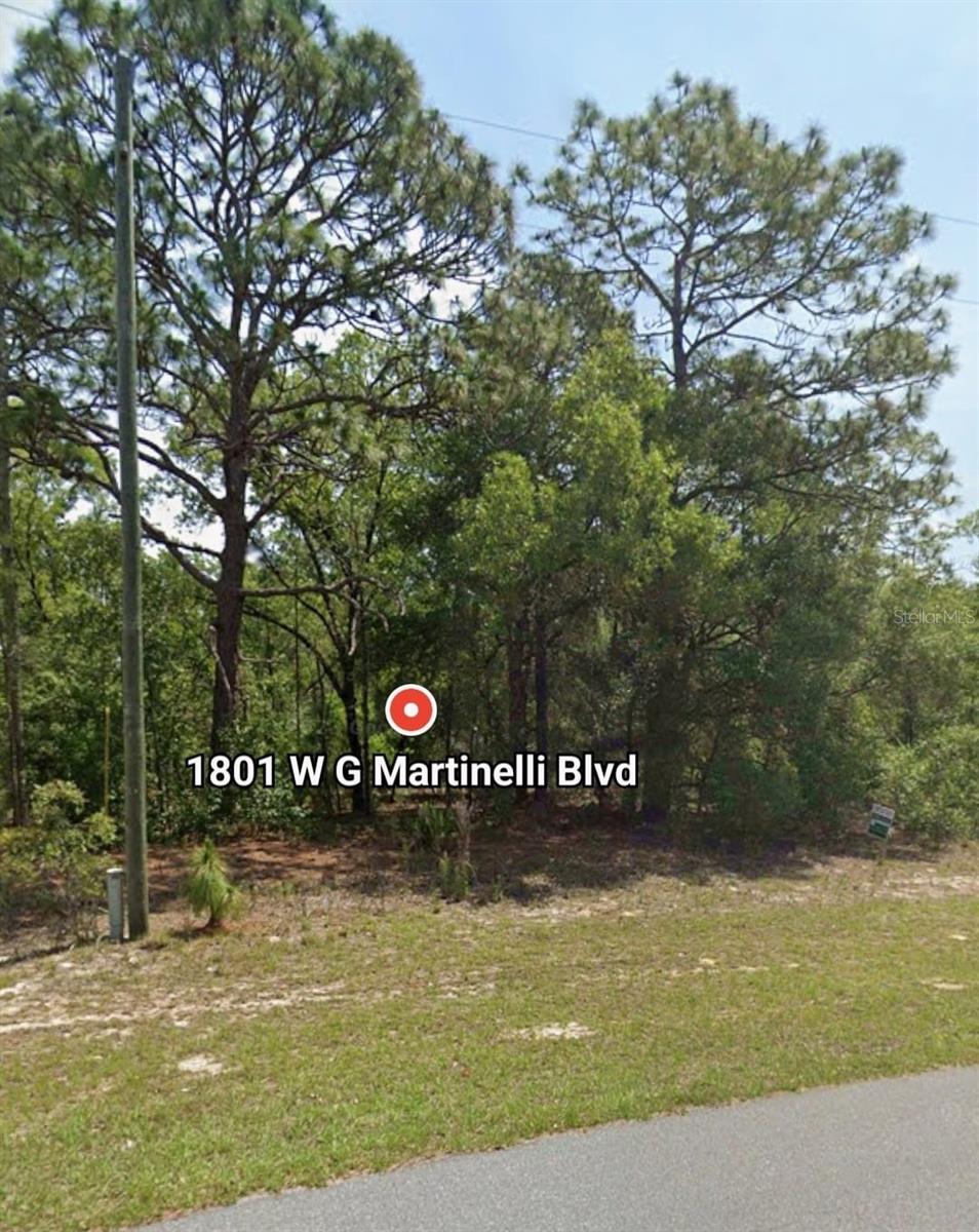 Details for G Martinelli Blvd  1801, CITRUS SPRINGS, FL 34434