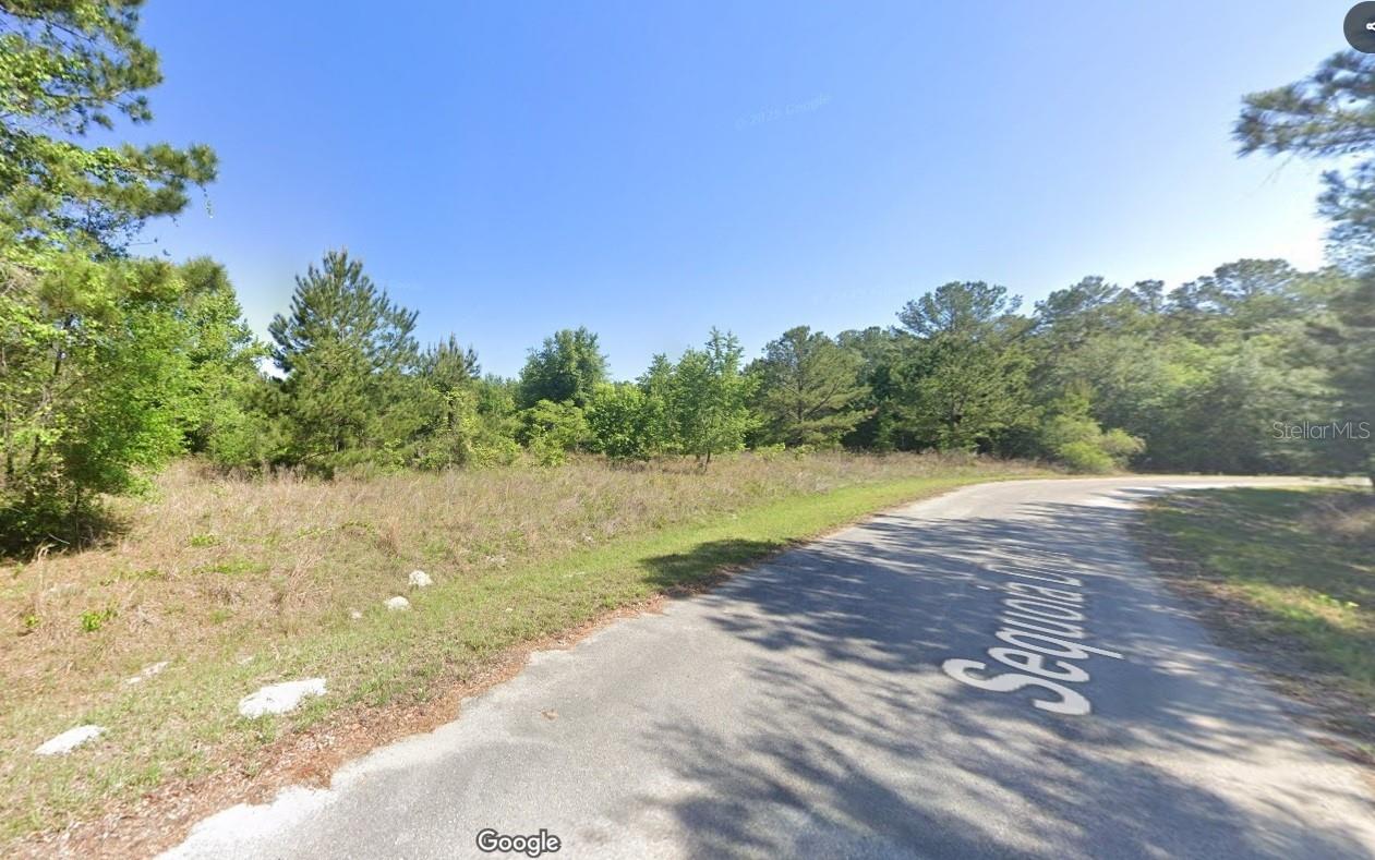 Details for Sequoia Drive Court, OCKLAWAHA, FL 32179