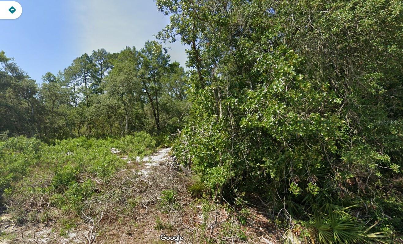 Details for  Fisher Pass , OCKLAWAHA, FL 32179