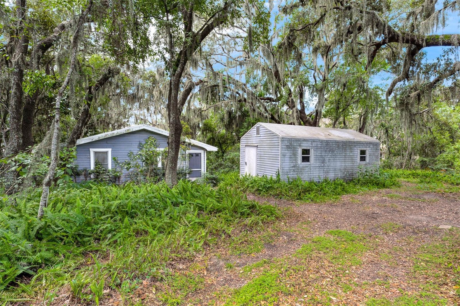 Details for 17226 Lake Ingram Road, WINTER GARDEN, FL 34787