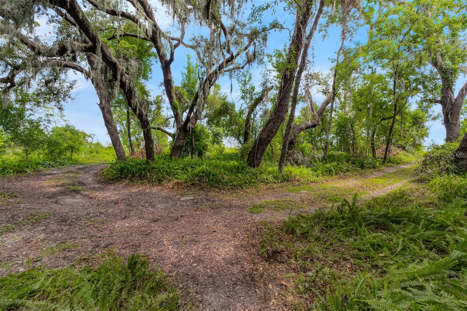 Image 30 of 44 For 17226 Lake Ingram Road